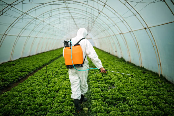Best Pest Inspection Near Me  in Oxford, KS