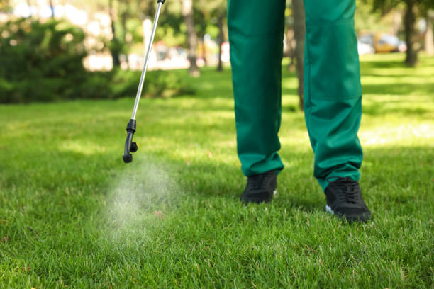 Best Cockroach Control Services  in Oxford, KS