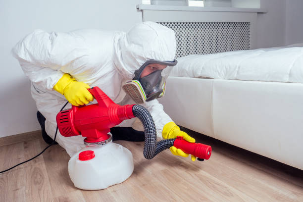 Best Pest Control Near Me  in Oxford, KS