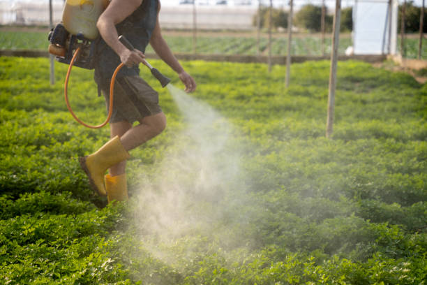 Best Affordable Pest Control Services  in Oxford, KS