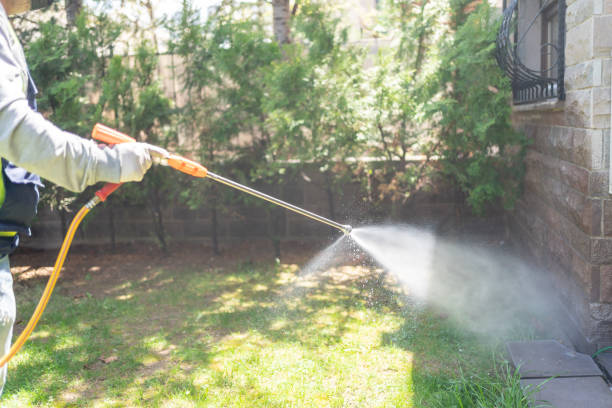 Best Flea Control Services  in Oxford, KS
