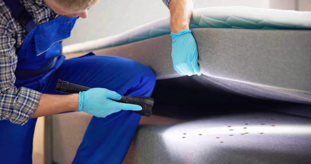 Pest Control for Restaurants in Oxford, KS