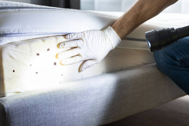 Best Best Pest Control Near Me  in Oxford, KS
