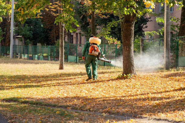 Reliable Oxford, KS Pest Control Solutions