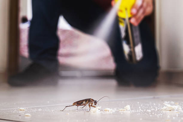 Best Best Pest Control Companies  in Oxford, KS
