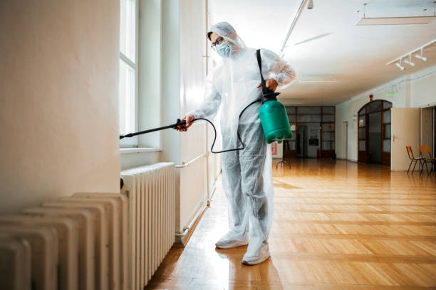 Best Wasp Removal Services  in Oxford, KS